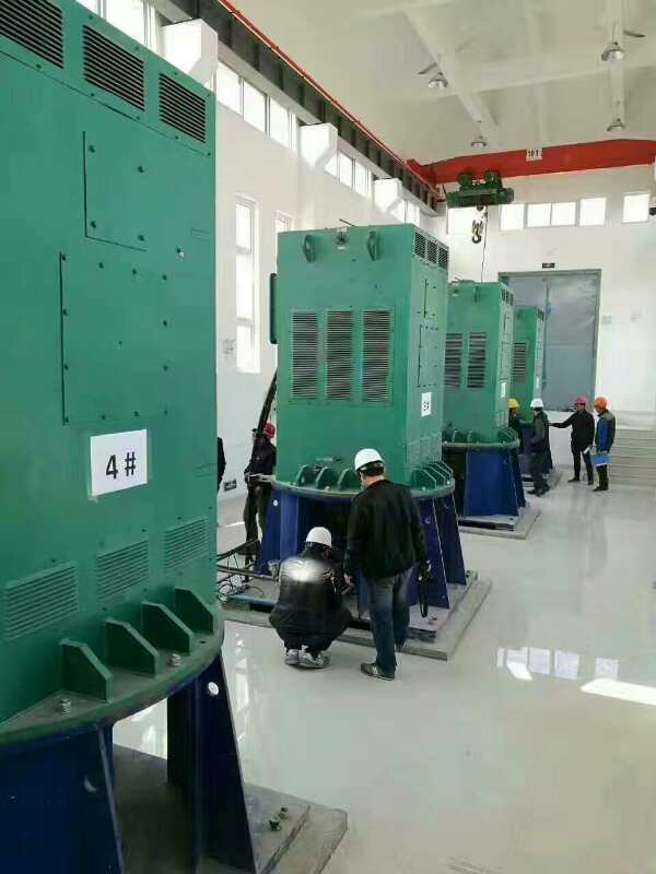 台儿庄某污水处理厂使用我厂的立式高压电机安装现场